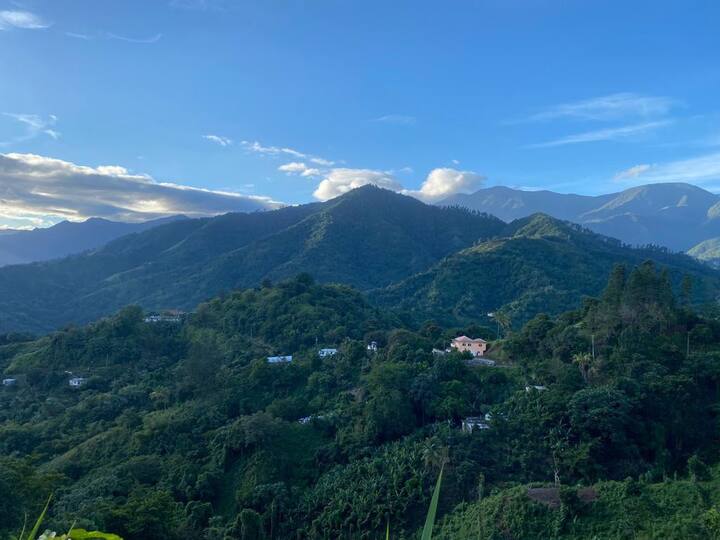 Blue Mountains Holiday Rentals & Homes Portland Parish, Jamaica Airbnb