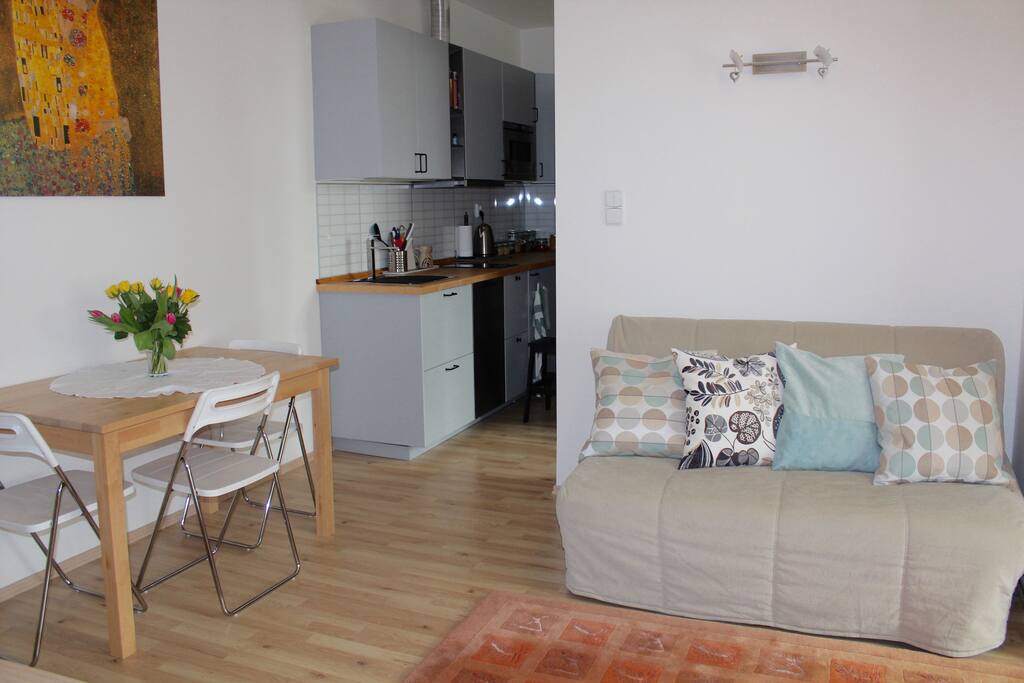 Living room with a very comfortable sofa bed