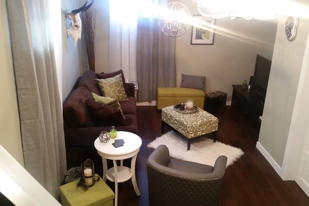 Private Basement Den