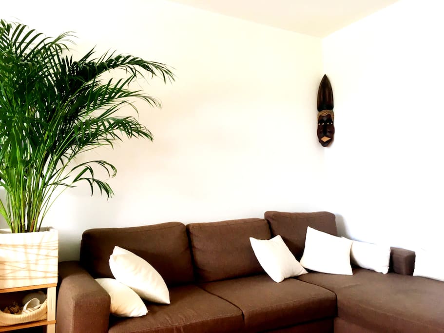 Living room & bedroom