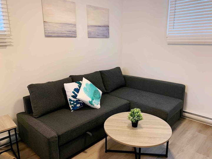 Lovely Cozy Getaway With Free Parking Included - Longueuil