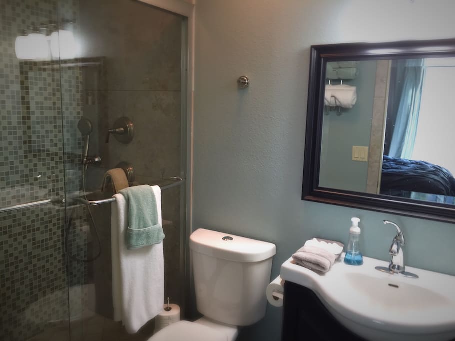 Private Master bathroom with dual showerheads.