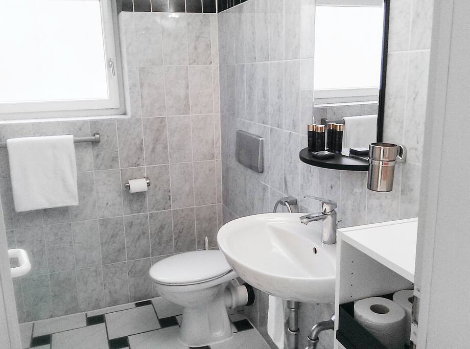 Toilette und Waschbecken