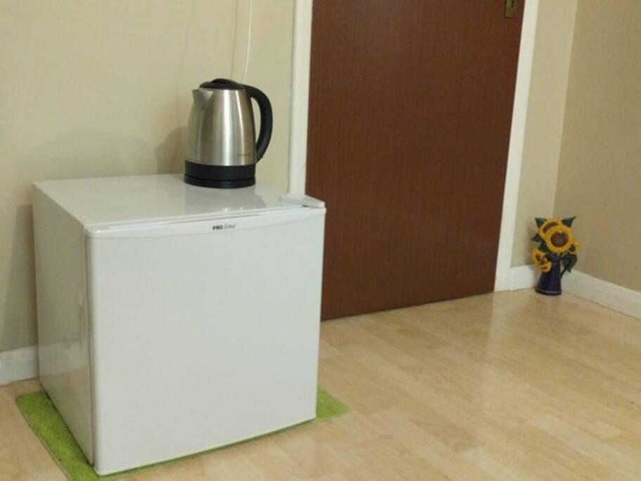 Mini fridge and Kettle