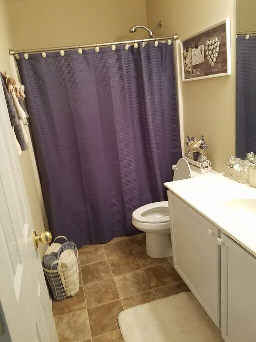 guest bath 1