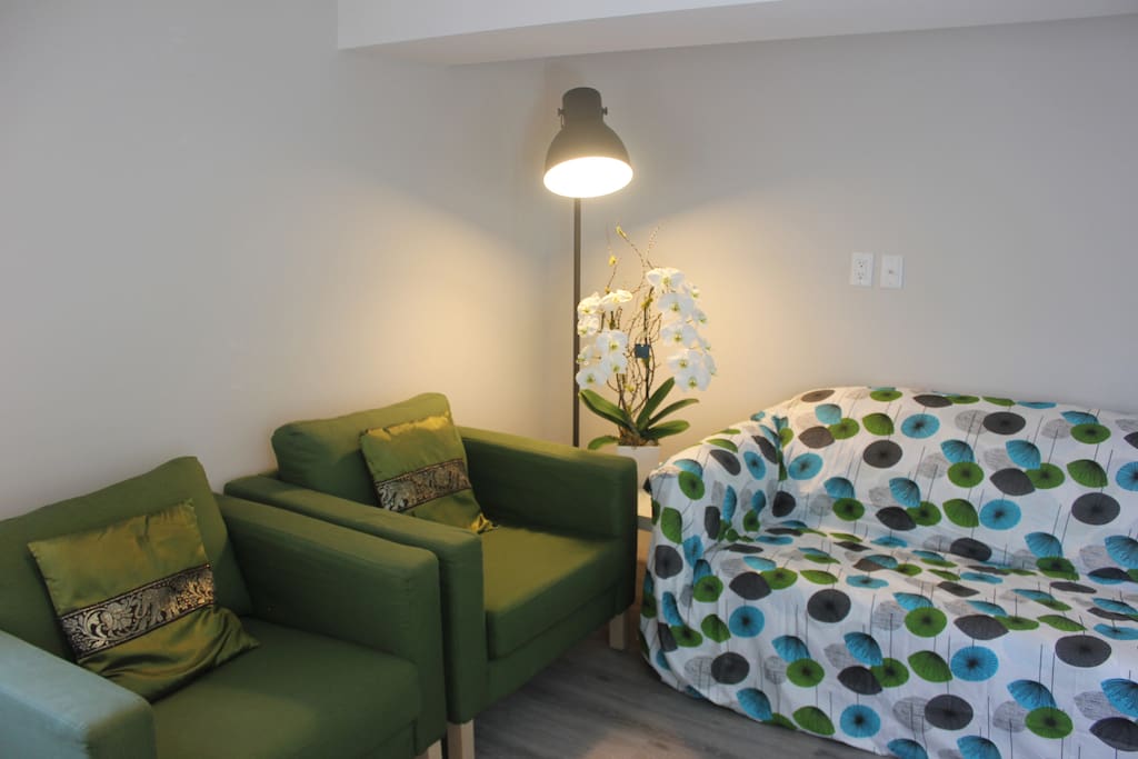 Living Room Area