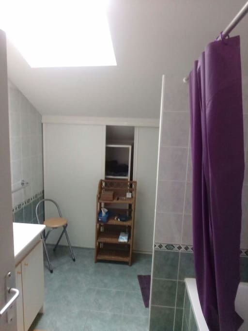 salle de bain à l'étage avec douche et toilette
