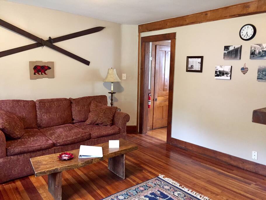 Living room pull out couch