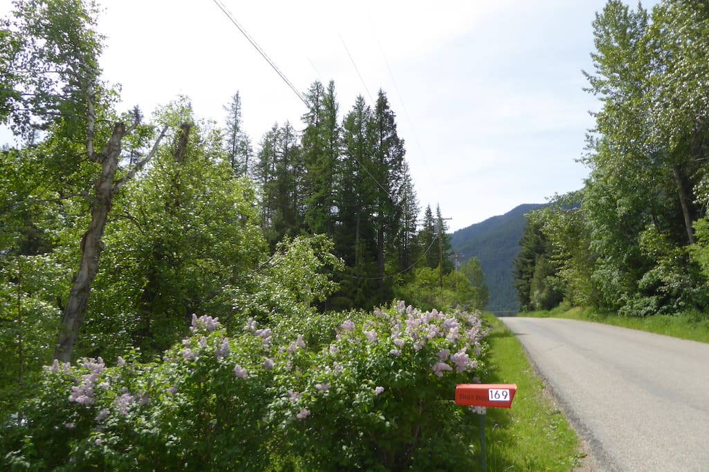 Columbia Mountain, 5th St. West entrance to your driveway