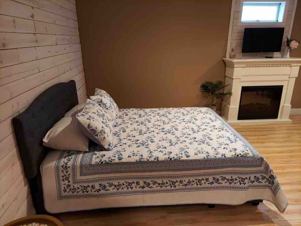 Lower level bedroom with tv and fireplace 