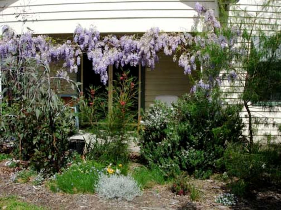 Front porch screened by plants