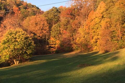 Dirty Girl Lodge (Farm) - Bluefield West Virginia