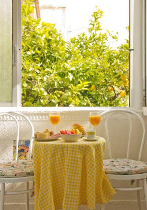View from the marquee. Ideal for breakfast!