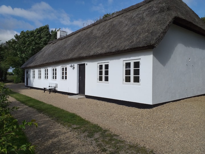 Farmhouse with thatched roof in the countryside in gl. style