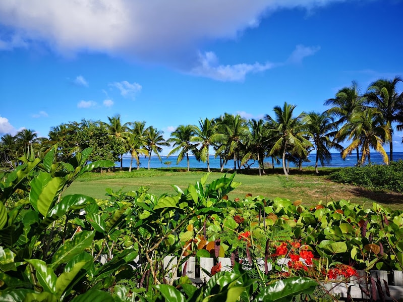 A lush garden area features vibrant flowers and greenery, leading toward a serene ocean view. Tall palm trees are visible against a bright blue sky, creating a tranquil environment that enhances the natural beauty of the surroundings.