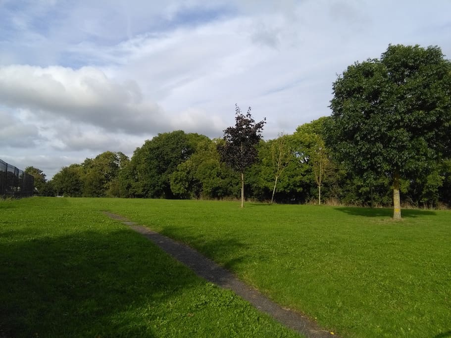 View of Green