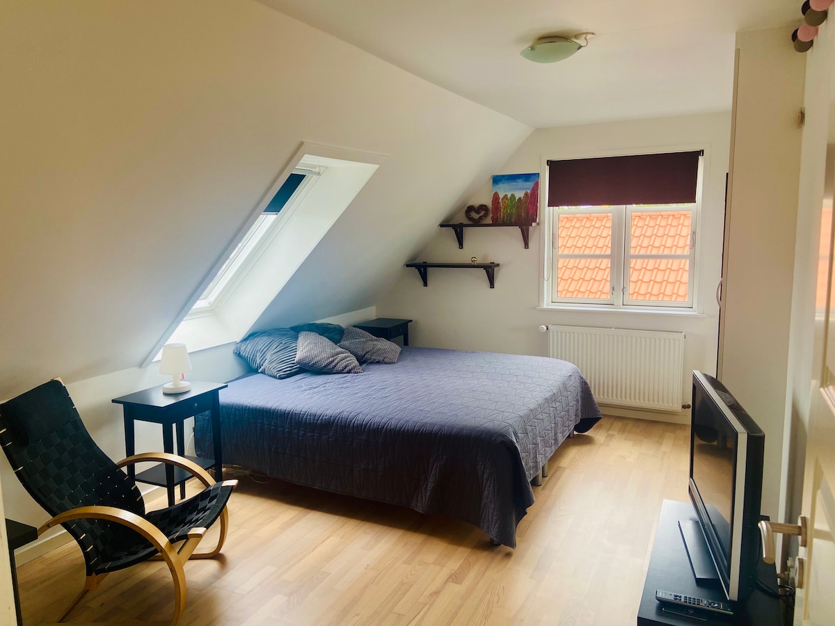 A spacious bedroom features a large bed with a dark bedspread, complemented by two pillows. A small bedside lamp sits on a nightstand next to the bed. A television is positioned on a low cabinet, while brown window shades cover two windows with a red-tiled roof visible outside.