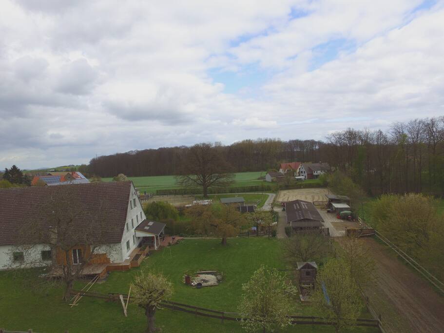 Blick in den Garten