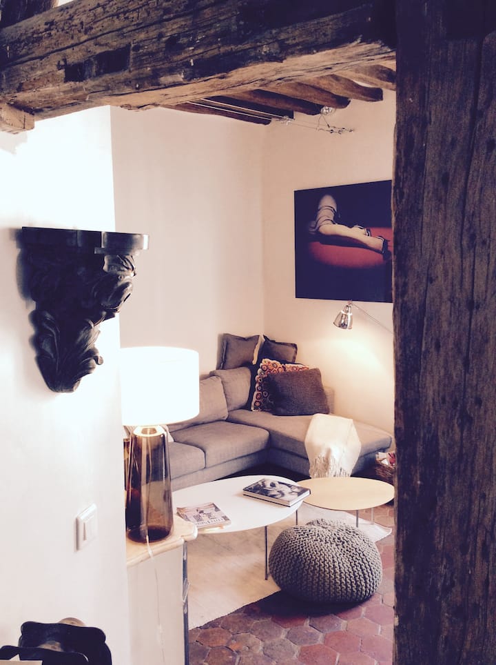 Amazing house under the roofs - High Marais