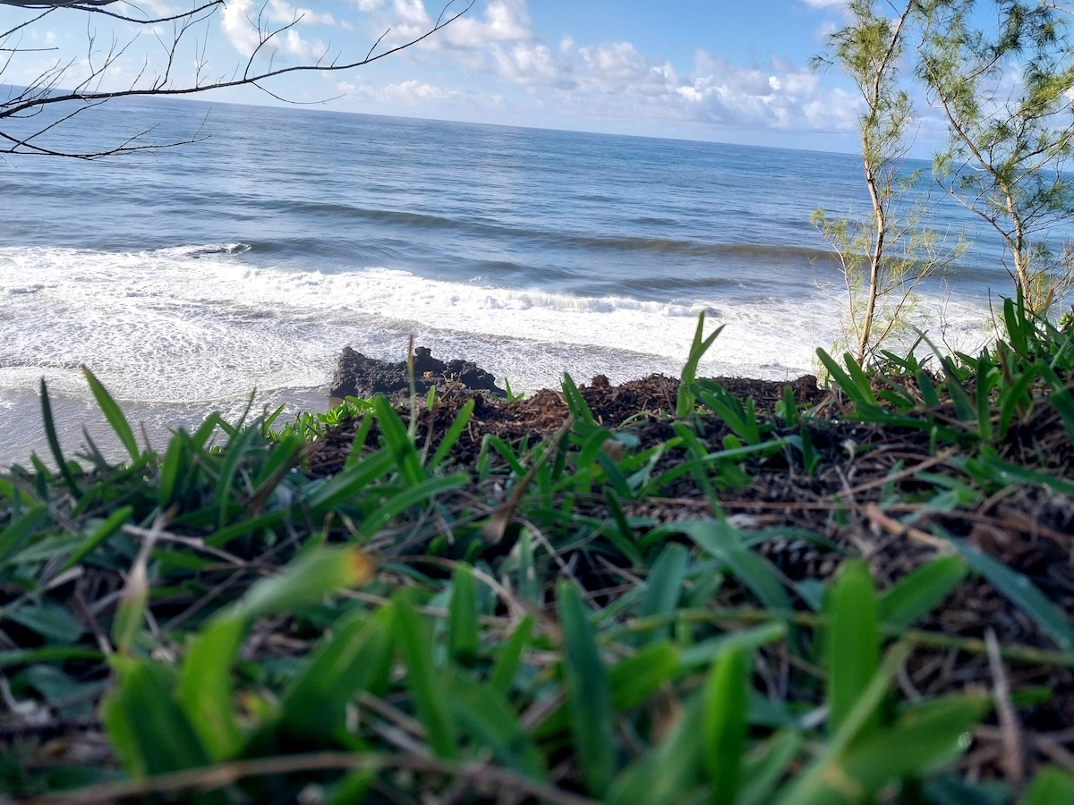 A serene coastal view is captured, showcasing gentle waves rolling onto a rocky shore. Lush green grass and small plants frame the foreground, while the ocean stretches into the distance under a clear blue sky dotted with soft clouds.