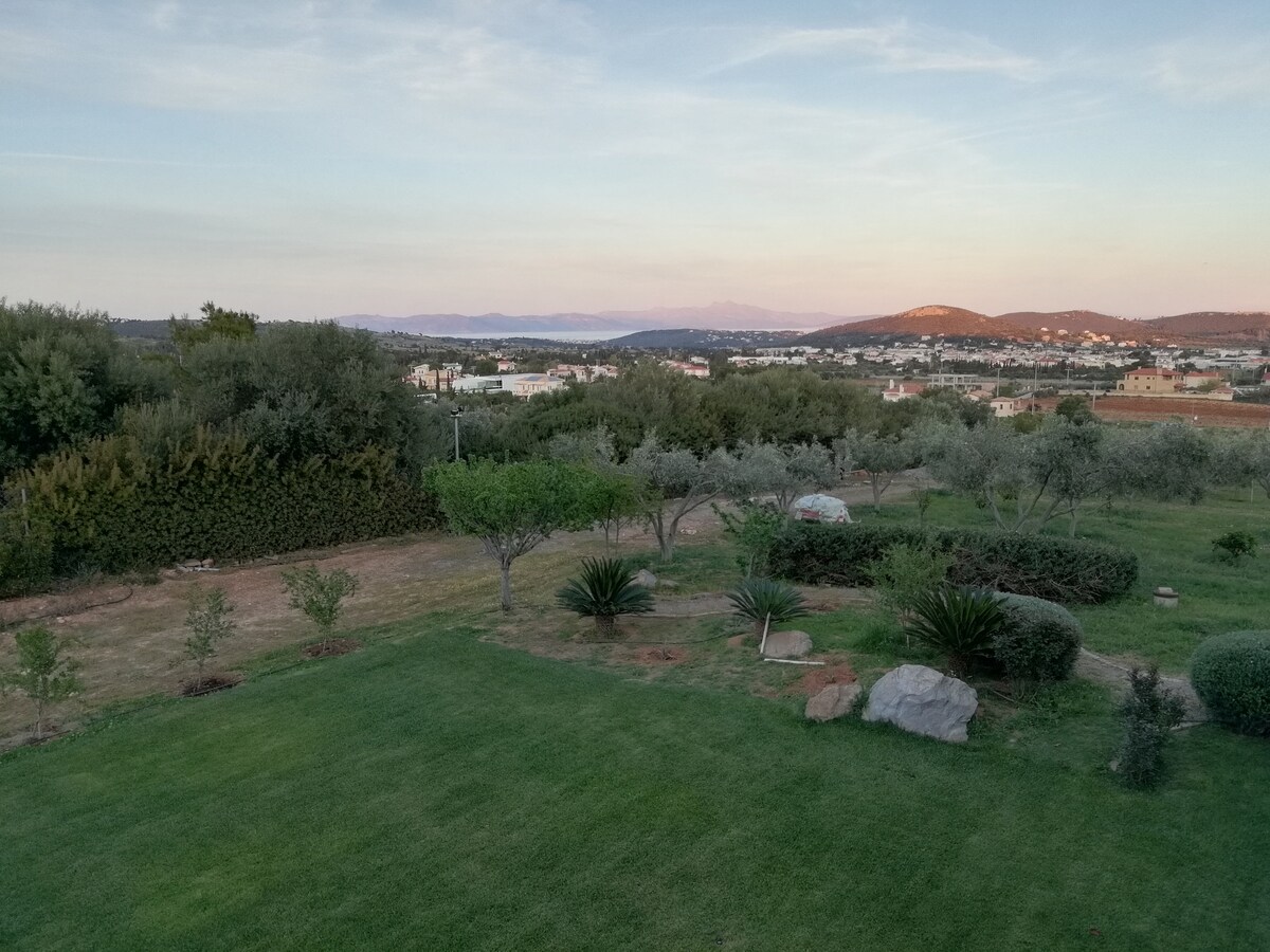 A wide view of the lush garden is presented, featuring well-maintained lawns and a variety of trees, including olive trees. The landscape extends to rolling hills in the distance, with the sunset casting soft colors across the sky. Rocky features and plant beds add natural elements to the setting.