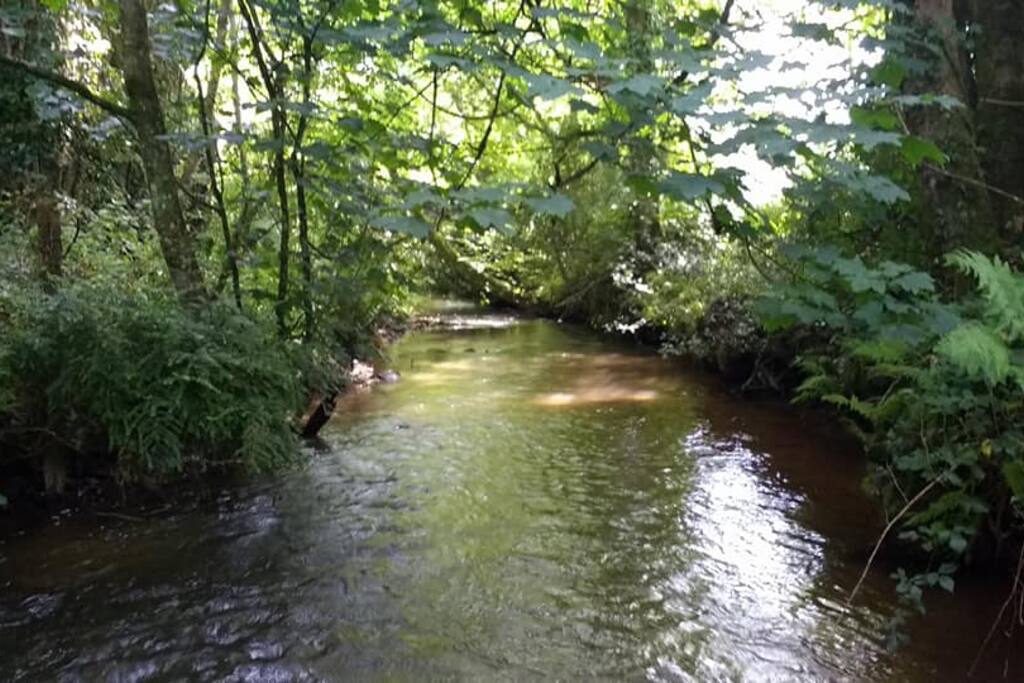 River from the bridge into Crowhill Woods.