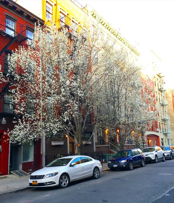 Right in the heart of East Village! Experience the best bars and restaurants that people from all over NYC flock to - just a few blocks away!