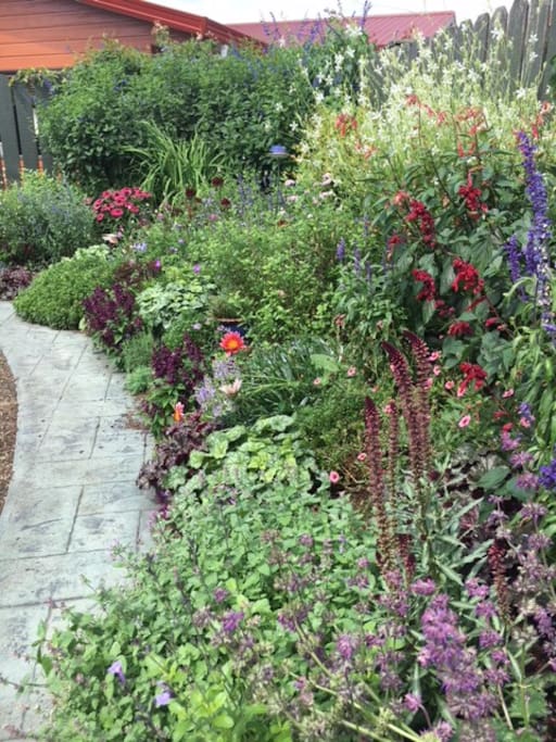 colourful garden