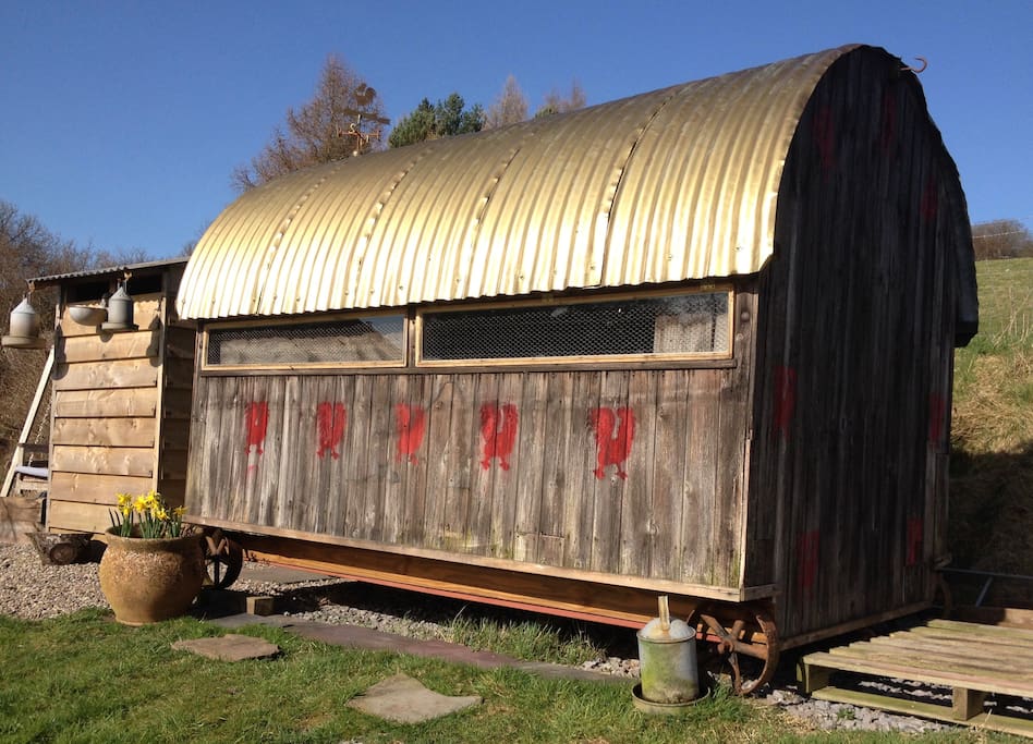 Cluckingham Palace & bathroom and kitchen Annexe