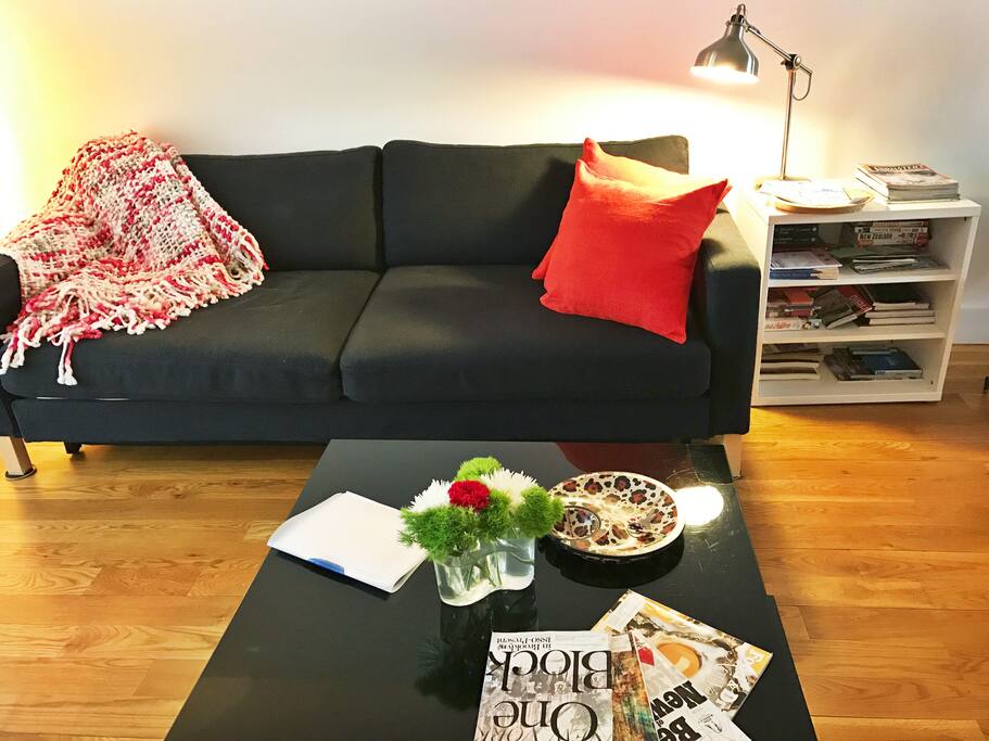 living room area with convertible sofa bed.