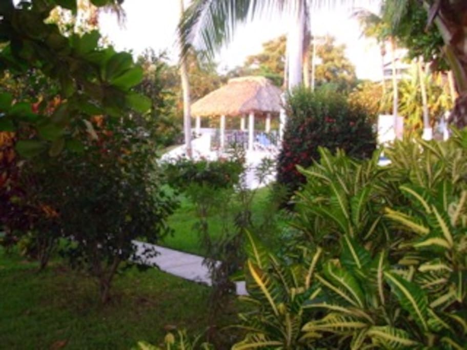 gazebo by the pool