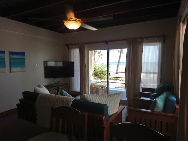 Belizean Beach Front Condo Tres Cocos Resort 301 Condominiums for