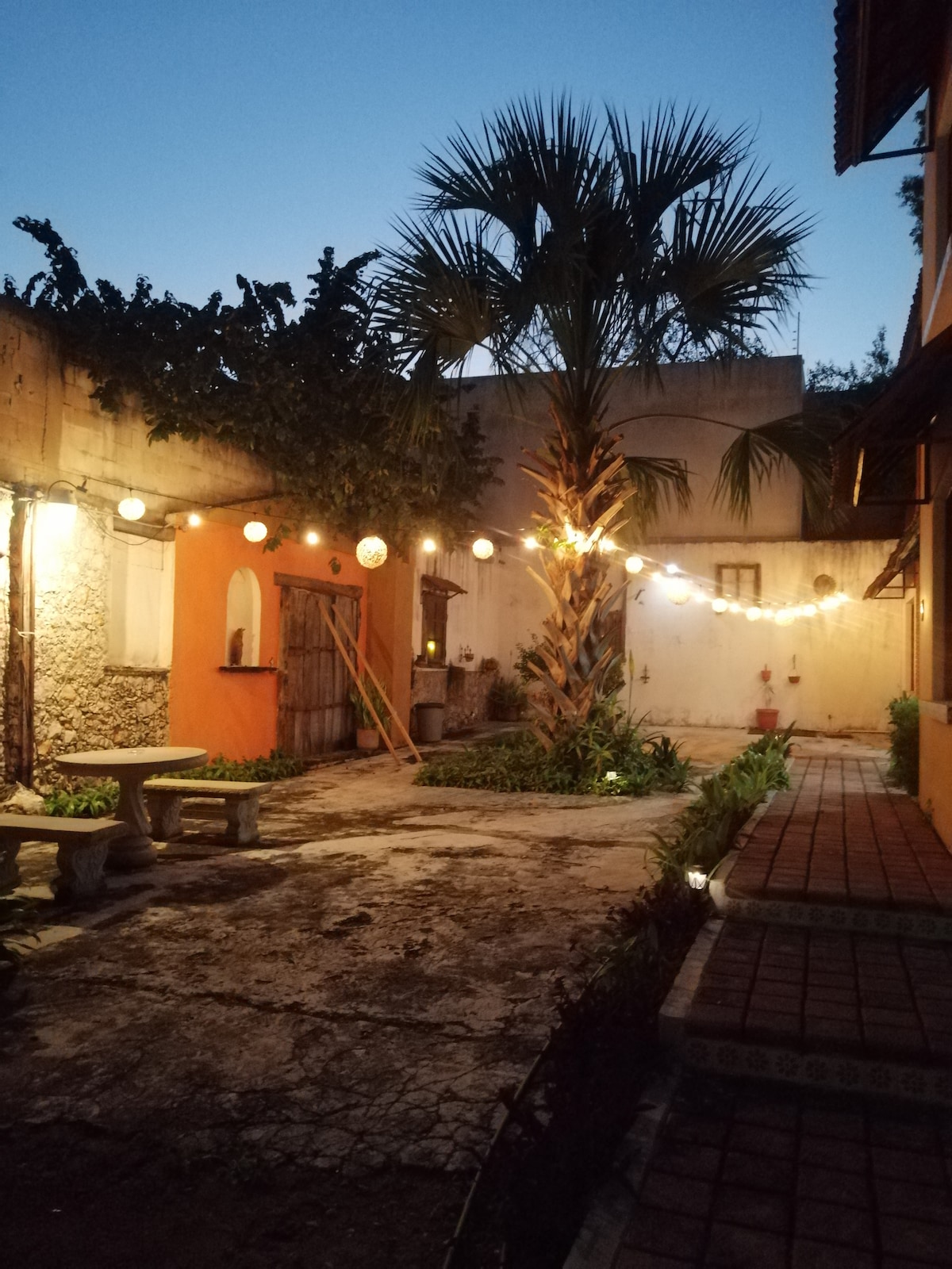 An outdoor area is illuminated by string lights, casting a gentle glow. A tall palm tree is prominently featured alongside a stone bench. The surrounding walls exhibit a rustic texture, while the ground shows a mix of stone and concrete surfaces.