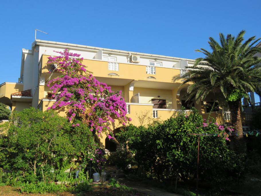 Palma Novalja - house