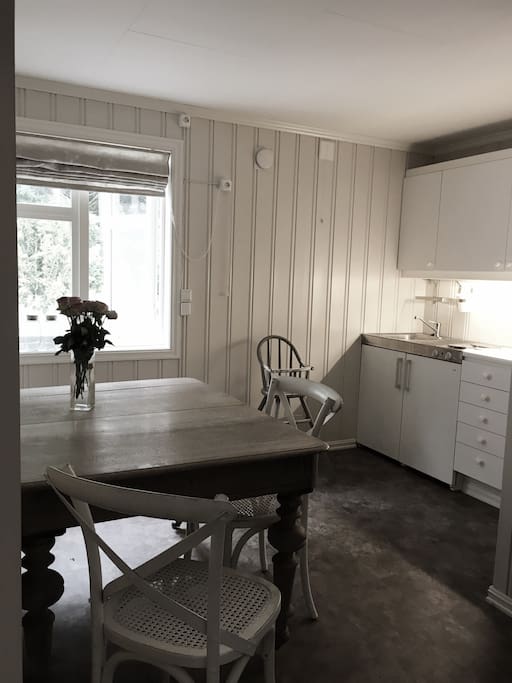 Kitchen in the apartment