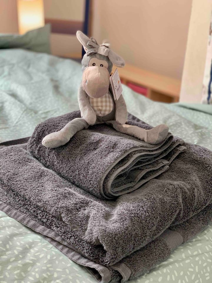 Enjoy a cuddle and snuggle with our donkeys 