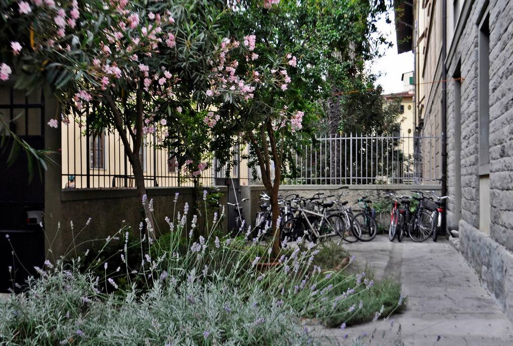 Ingresso palazzo - Entrance of the building