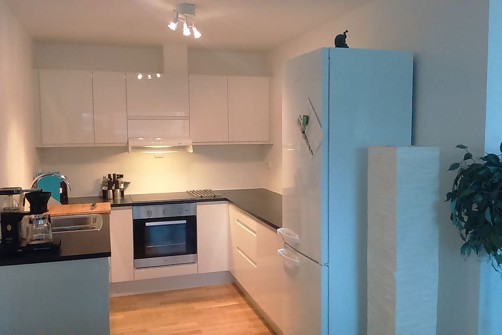 Kjøkken / kitchen