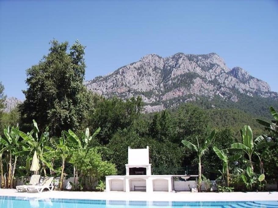 View from our back balcony & bedroom 2.