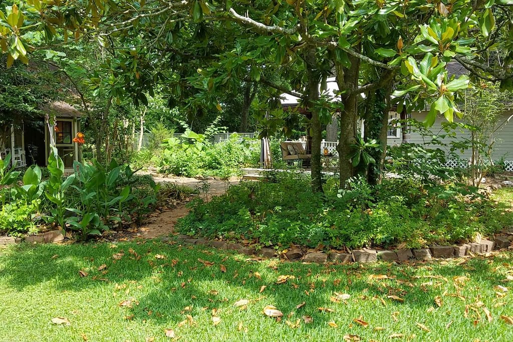 Back yard: looking over a deck