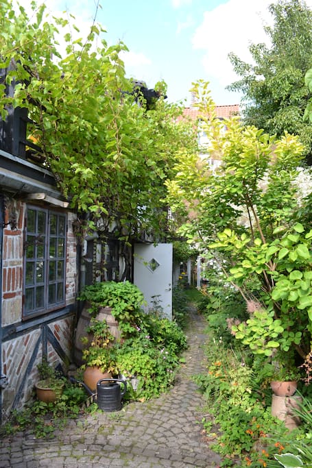 The cozy house is placed in the back yard