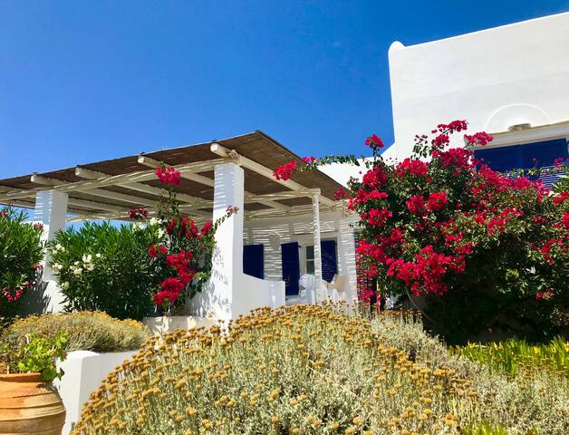 A happy vacation home on Antiparos 12 m new pool gallery image 4