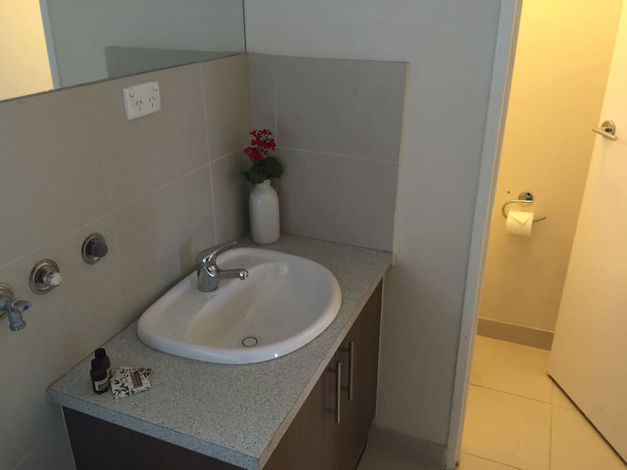 Toilet with its own door.