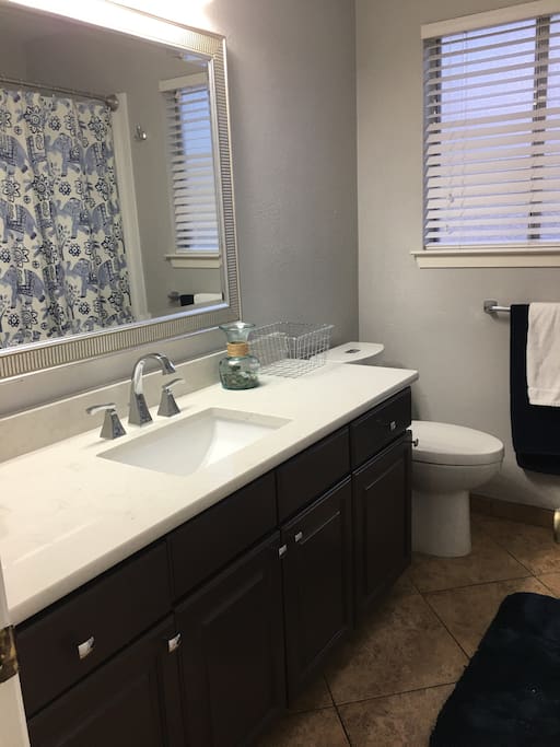 Your bath...recently remodeled with new counter top, tub/shower, etc!