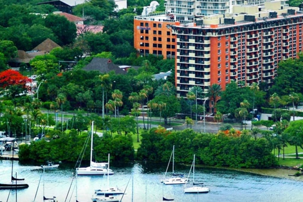 Coconut Grove is one of the loveliest areas of Miami, offering the best of city life and proximity to lovely parks and the waters of the bay.