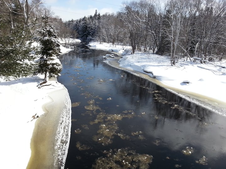 10 Best ShortTerm Rentals In Ontario, Canada Updated 2024 Trip101