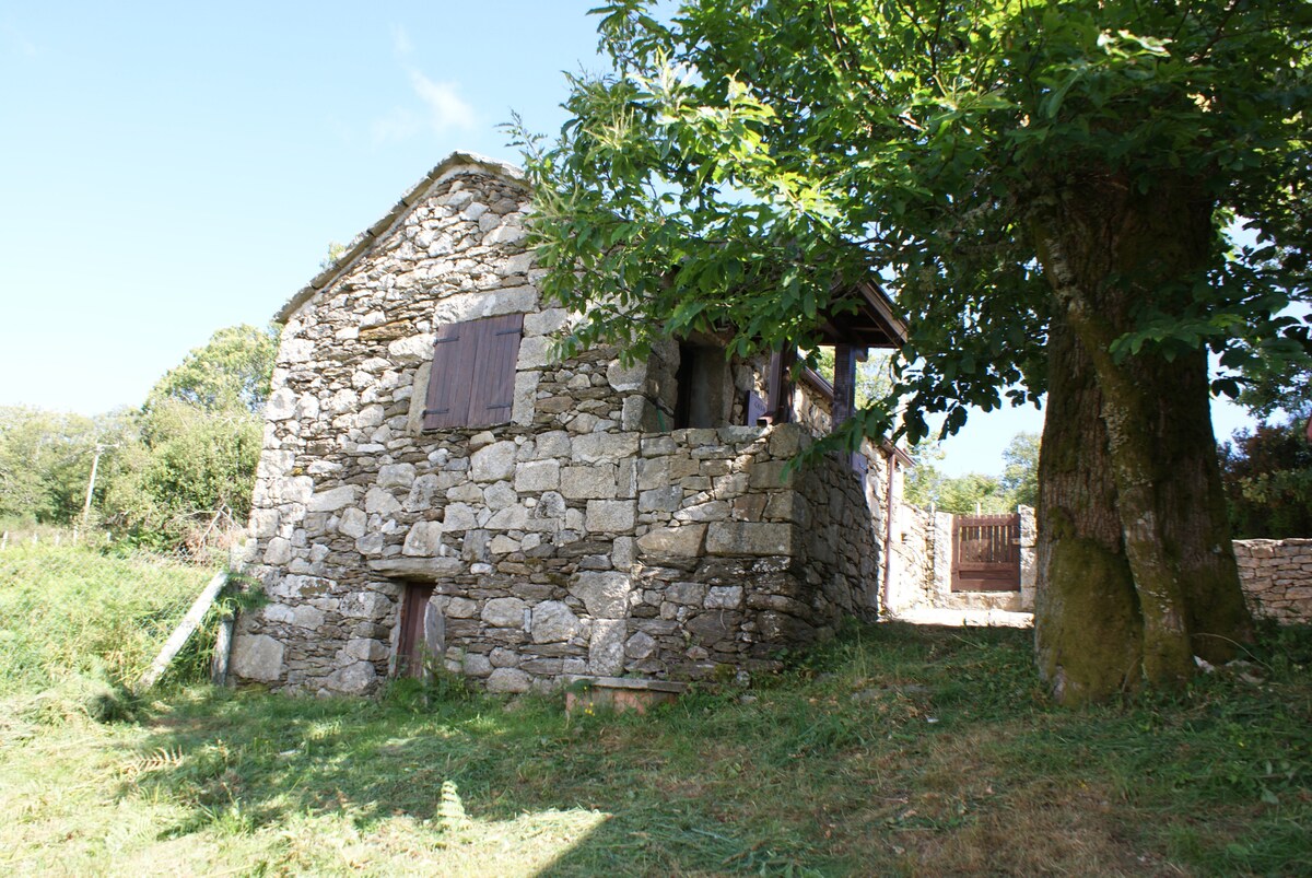 A rustic stone structure is nestled among green grass and trees. The building features wooden shutters on its windows, with a door visible at the base. A large tree casts shade nearby, enhancing the natural setting of the surrounding landscape.