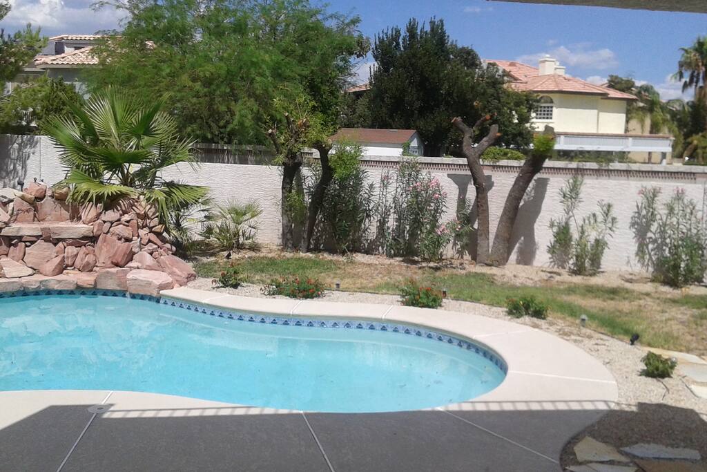 Our pool