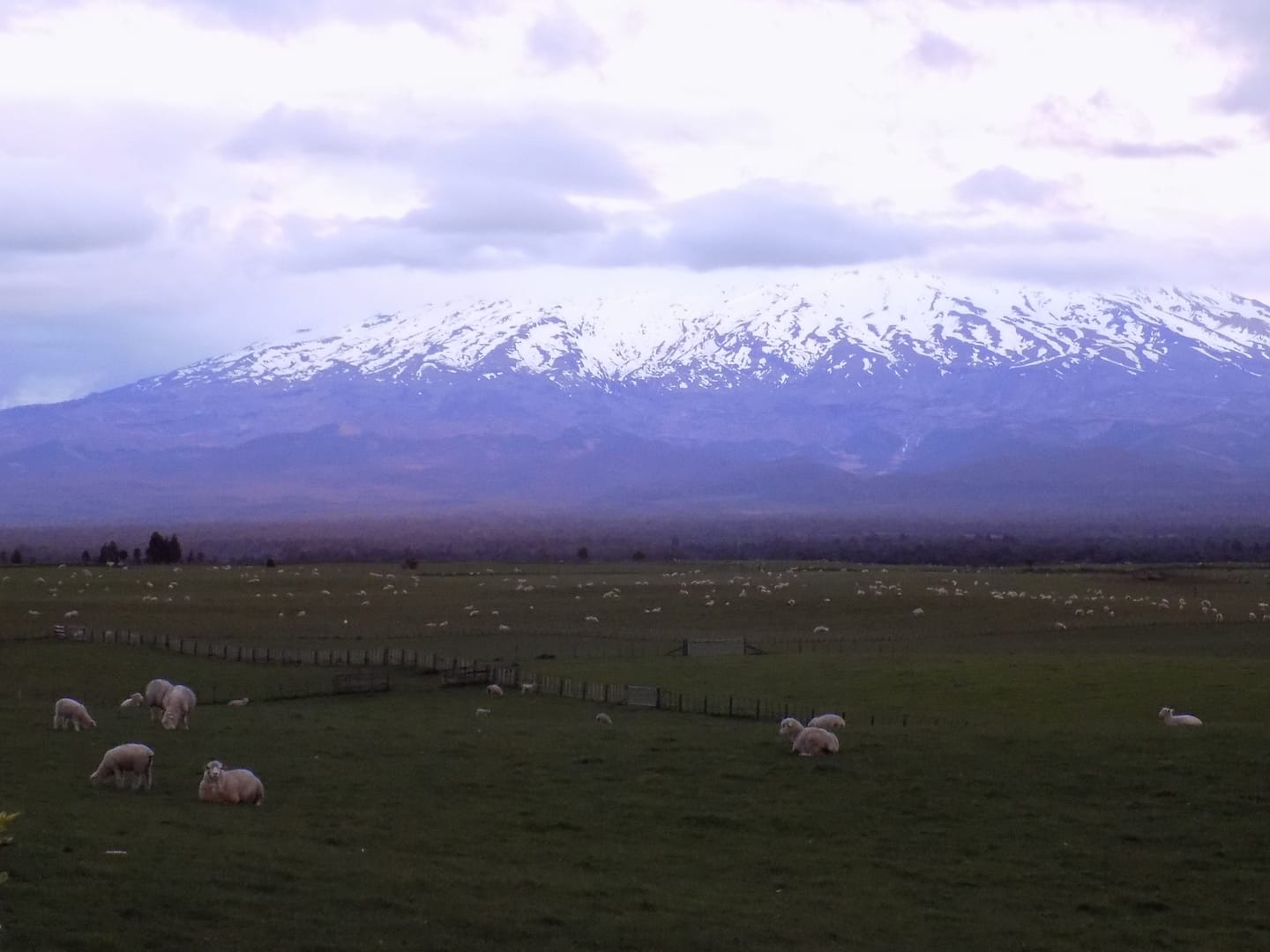Ruapehu Grand View Accommodation & Farm Stay! 5