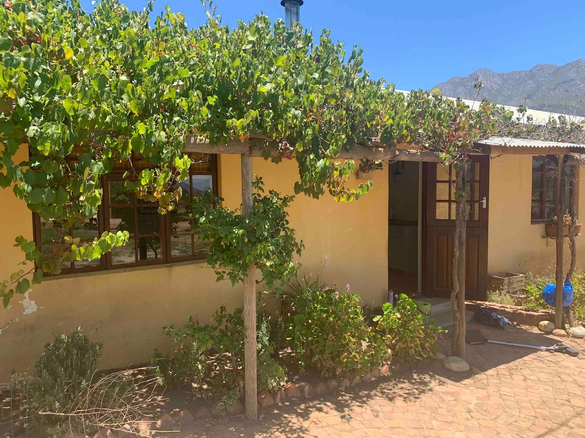 The exterior of Lavender Cottage is framed by lush grapevines, providing natural shade. Large windows reflect the inviting entrance, while a rustic door serves as a focal point. The surrounding landscape includes natural greenery and hints of the farm's agricultural charm.